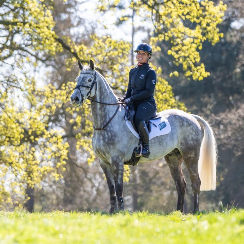 casewick-stud-home00081 (Medium)